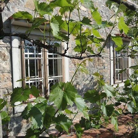 A Lovely House In Vipava Valley Exterior photo