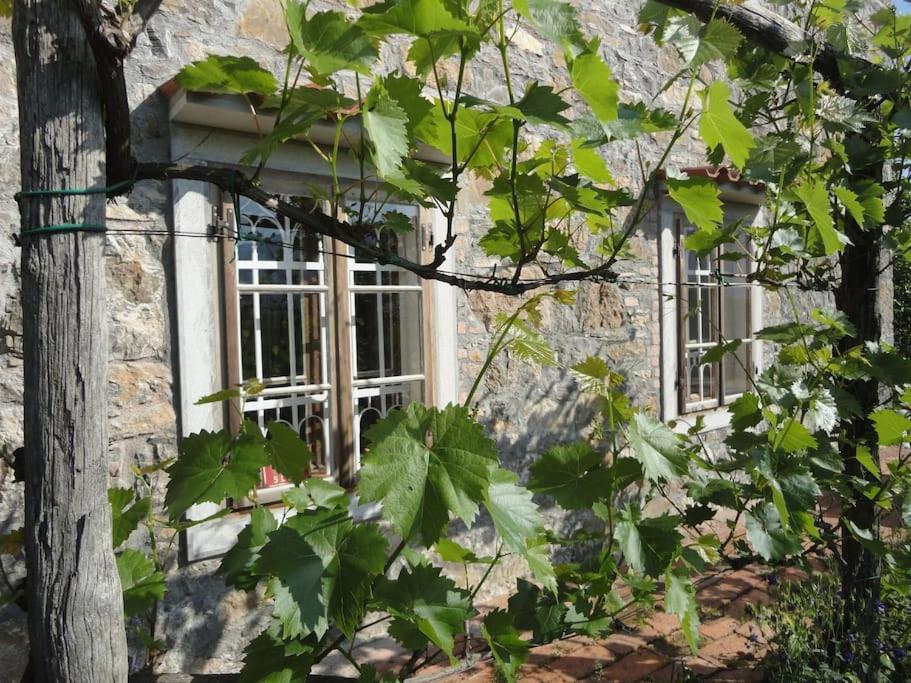 A Lovely House In Vipava Valley Exterior photo